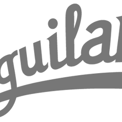 Collection image for: Aguilar
