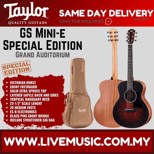 Victorian burst Taylor acoustic guitar with padded gig bag, closed view