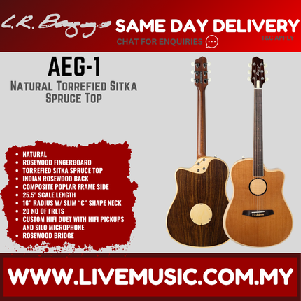 LR Baggs AEG-1 Acoustic Electric Guitar, Torrefied Sitka Spruce Top ( AEG1 / AEG- 1 )