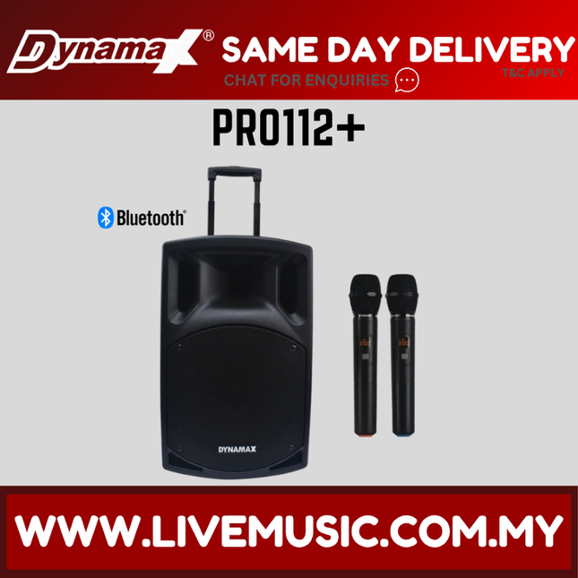 Bluetooth portable PA speaker with two black wireless UHF microphones
