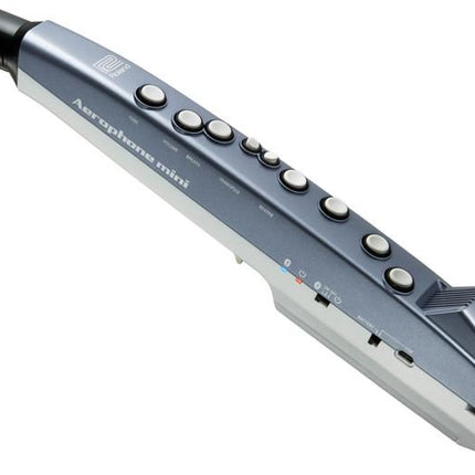 Roland Aerophone AE-01 Mini Digital Wind Instrument ( AE01 / AE 01)