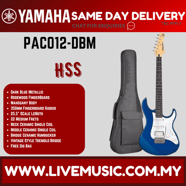 Blue metallic electric guitar with white pickguard and light wood headstock, in black gig bag