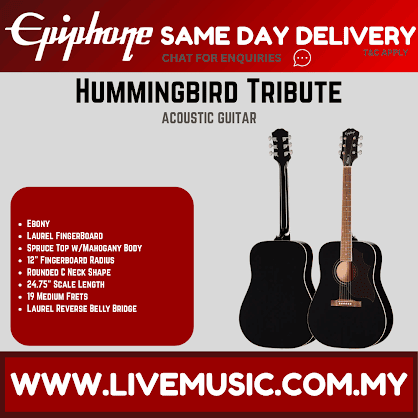 Epiphone Hummingbird Tribute Acoustic Guitar - Ebony