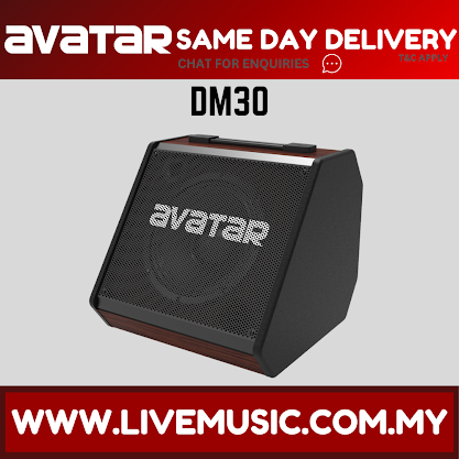 Avatar DM30 30-watts Personal Monitor Amplifier ( DM-30 )