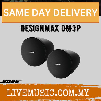 Bose DesignMax DM3P Loudspeaker - Black ( DM3P )