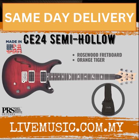 Semi-hollow electric guitar with gig bag, orange tiger finish, rosewood fretboard
