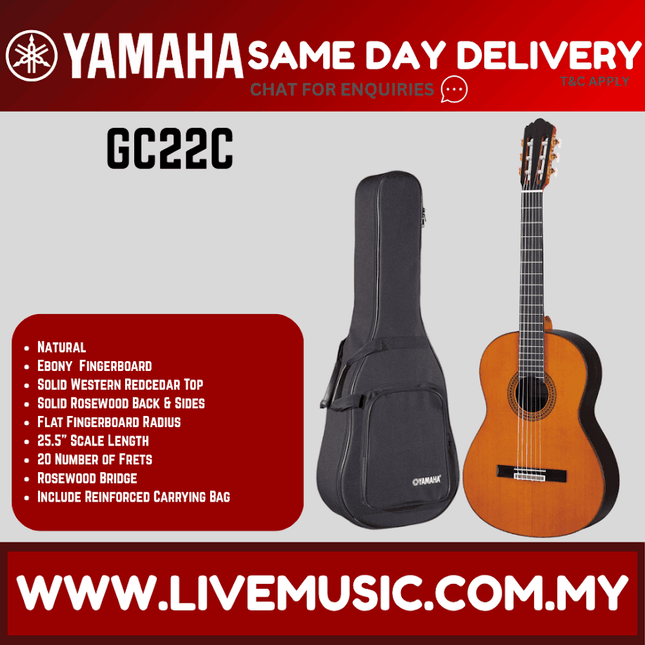 Classical acoustic guitar with natural wooden body and black soft carrying case