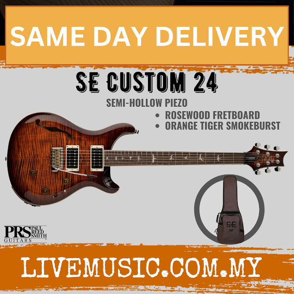 PRS SE Custom 24 Semi-Hollowbody Piezo Electric Guitar, RW FB