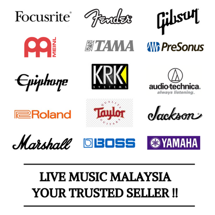 Marantz Professional MPM-1000 Large Diaphragm Condenser Microphone ( MPM1000 MPM 1000 )