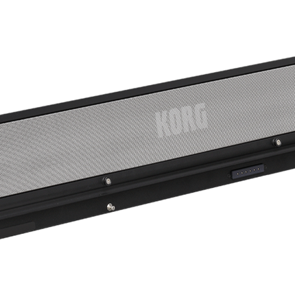 Korg PAAS-MKII Powered Speaker System Dedicated Amplification for Korg Pa-Series Arranger Keyboards ( PAASMKII PAAS MKII )