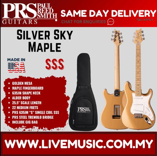 Golden Mesa electric guitar with maple neck and matching black gig bag