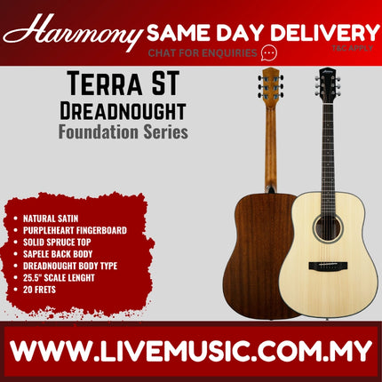 Harmony Foundation Series Terra ST Dreadnought Acoustic Guitar, Natural Satin