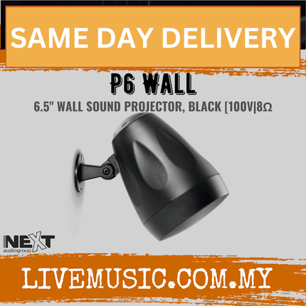 Next Audio P6 Wall 6.5" Wall Sound Projector, White / Black ( P-6W / P 6W / P6WALL )