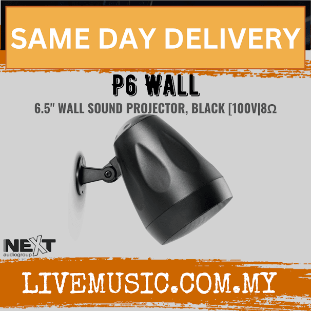 Next Audio P6 Wall 6.5" Wall Sound Projector, White / Black ( P-6W / P 6W / P6WALL )