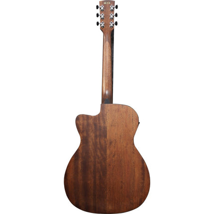 Natural acoustic-electric guitar, back view with dark wood-grain finish