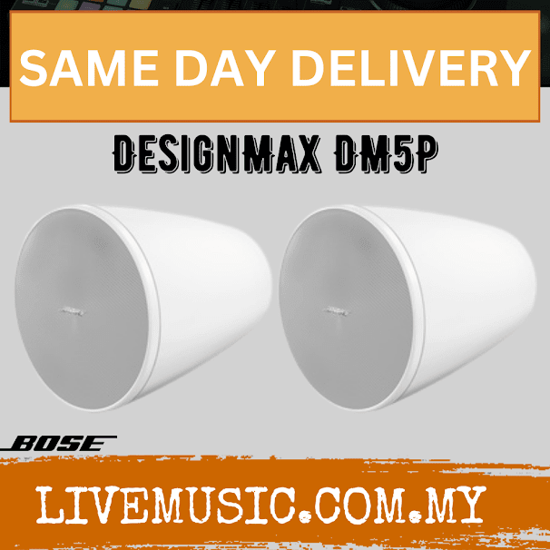 Bose DesignMax DM5P Loudspeaker- White ( DM5P )