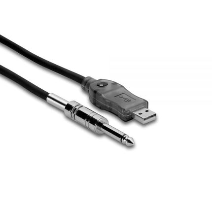 Hosa USQ-110 USB Guitar Cable, 10ft (USQ110/USQ 110)