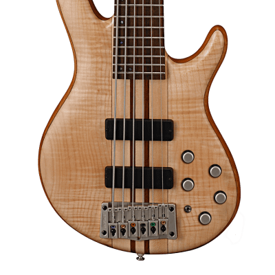 Cort A6 Plus FMMH 6-String Bass Guitar Jatoba Fretboard with Bag - Open Pore Natural