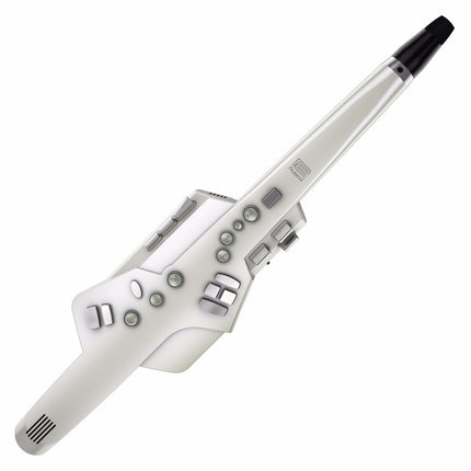 Roland AE-10 Aerophone Digital Wind Instrument ( AE10 )