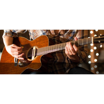 LR Baggs M80 Acoustic Guitar Soundhole Pickup