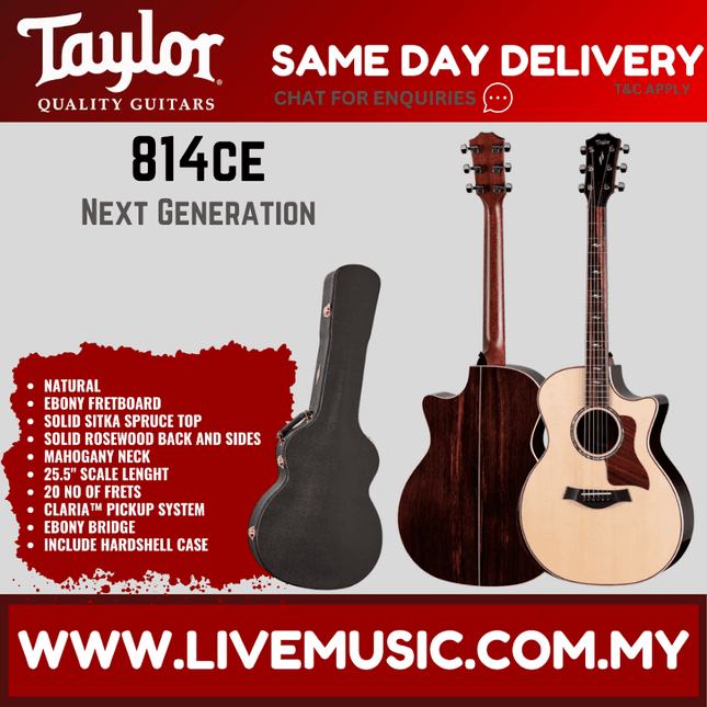 Acoustic guitar with Taylor headstock and wooden body, with hard shell case
