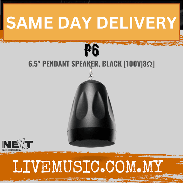 Next Audio P6 6.5" Pendant Speaker, Black / White ( P-6 / P 6 )