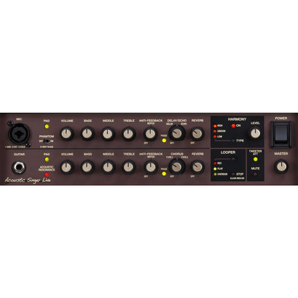 Boss ACS-LIVE-LT Acoustic Singer Live LT 60-watt Bi-amp Acoustic Combo (ACS LIVE LT)