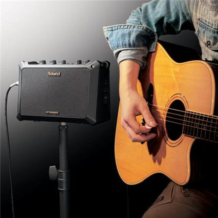 Roland MOBILE AC - 5 Watt 2x4" Portable Acoustic Amplifier (MOBILE-AC)