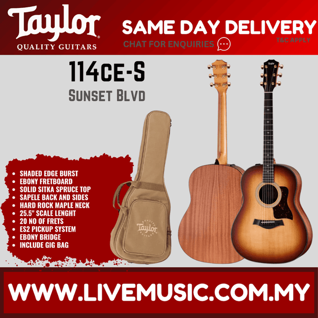 Acoustic-electric guitar with shaded edge burst top and tan gig bag