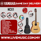 NCX1 B