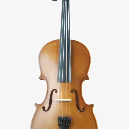 Kadenza V-001D 4/4 Spruce Wood Violin w/HardBag, FB Ebony - ( V001D V 001D )