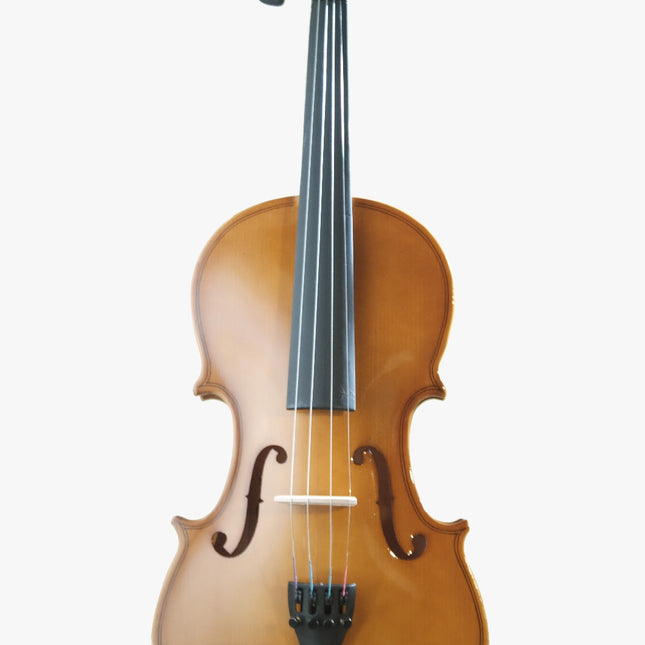 Spruce wood violin with ebony fingerboard and chinrest, front view