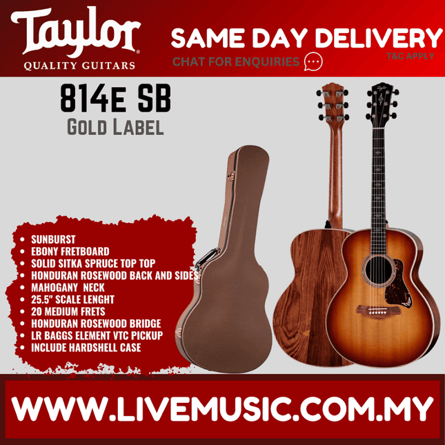 Sunburst acoustic-electric guitar with hard case, Taylor Gold Label style