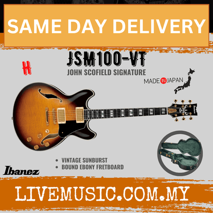 Ibanez JSM100-VT John Scofield Signature Electric Guitar w/Case - Vintage Sunburst ( JSM100 VT / JSM100VT )