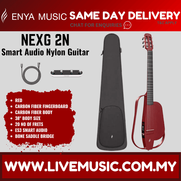 Red carbon fiber guitar with black gig bag, standing upright