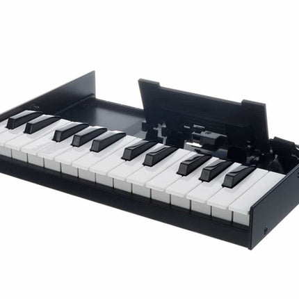Roland K-25m - 25 Key Boutique Series Keyboard Unit (K25M/K 25m)