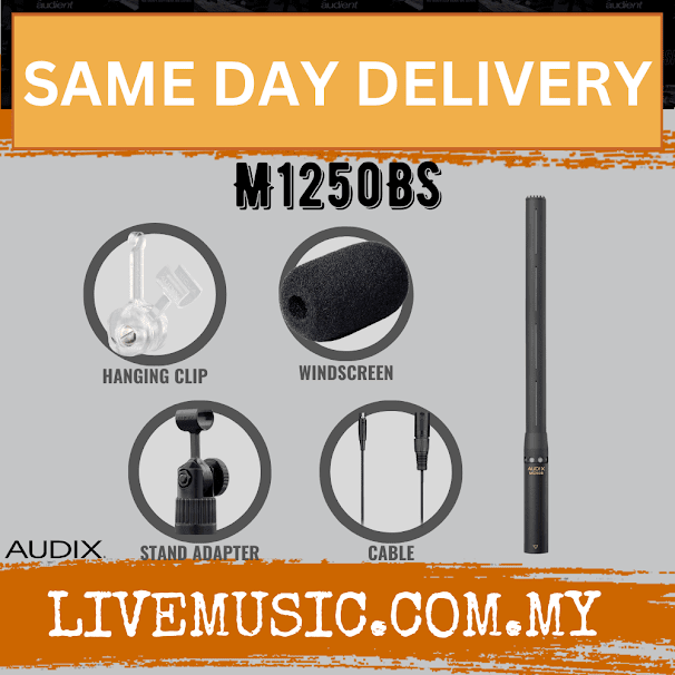 Audix M1250B-S Supercardioid Miniaturized Condenser Shotgun Microphone - Black (M1250 BS/M1250 BS)