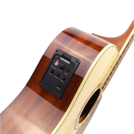Acoustic-electric guitar pickup/electronics control panel on wood back with cream edge