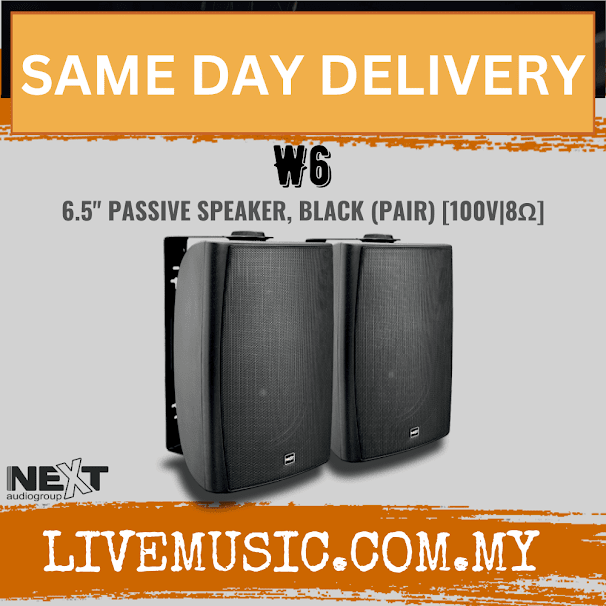 Next Audio W6 6.5" Passive Speaker, White / Black - Pair ( W-6 / W 6 )