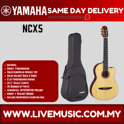 Acoustic-electric nylon classical guitar with pickup, natural wood body, in bag.