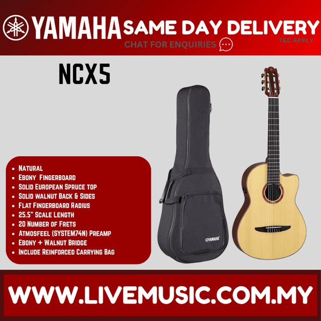 Acoustic-electric nylon classical guitar with pickup, natural wood body, in bag.