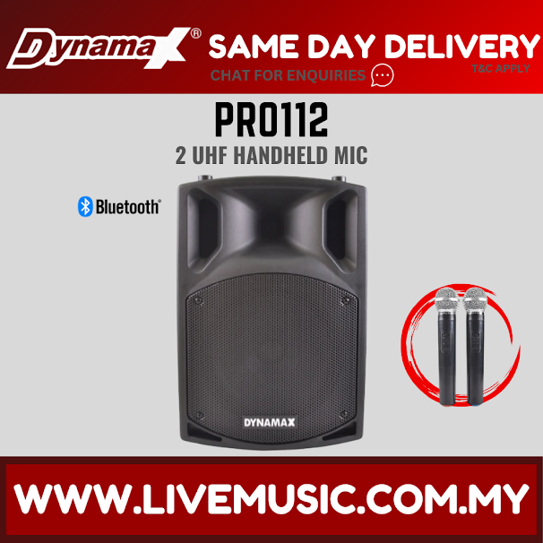 Portable Bluetooth PA speaker with top handle, black cabinet and two handheld mics