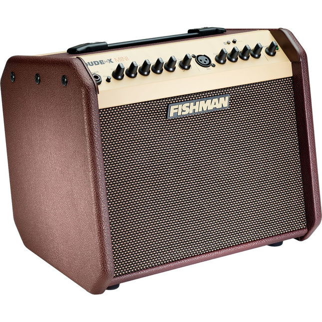 Fishman Loudbox Mini - 60 Watt Acoustic Guitar Amplifier with Bluetooth