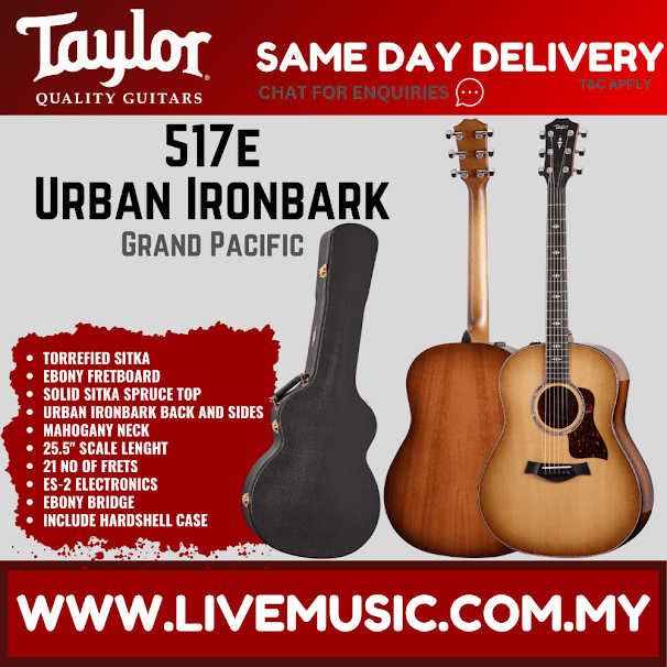 Taylor 517e Urban Ironbark Grand Pacific Acoustic Guitar w/Case, Torrefied Sitka