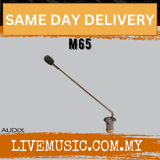 Audix M65 Tabletop Installed Microphone (M65)