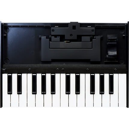 Roland K-25m - 25 Key Boutique Series Keyboard Unit (K25M/K 25m)