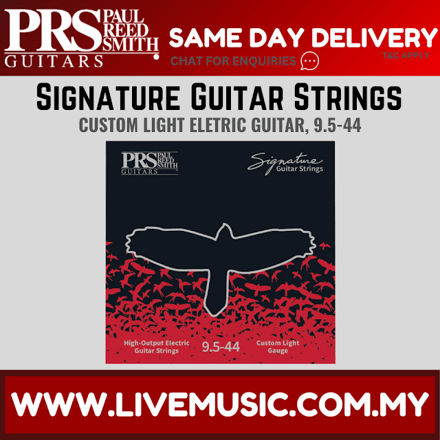 PRS Signature Custom Light Electric Guitar Strings, 95-44
