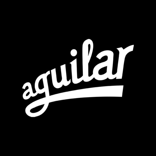 Aguilar 20FT Straight to Straight Instrument Cable ( AGINST20SS )