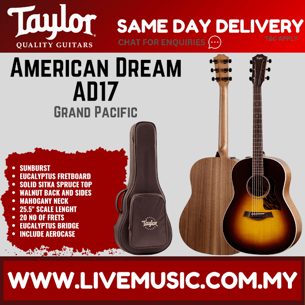 American Dream AD17 acoustic guitar with AeroCase, sunburst finish and standing case