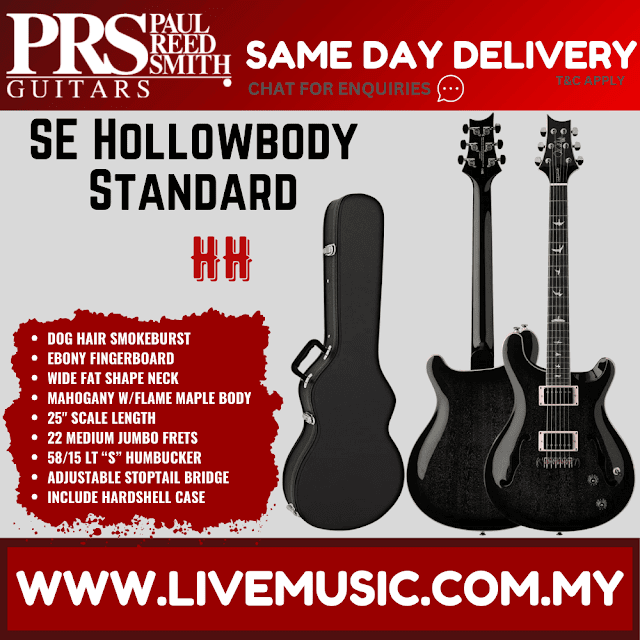 PRS SE Hollowbody Standard Piezo Electric Guitar w/Case, Dog Hair Smokeburst